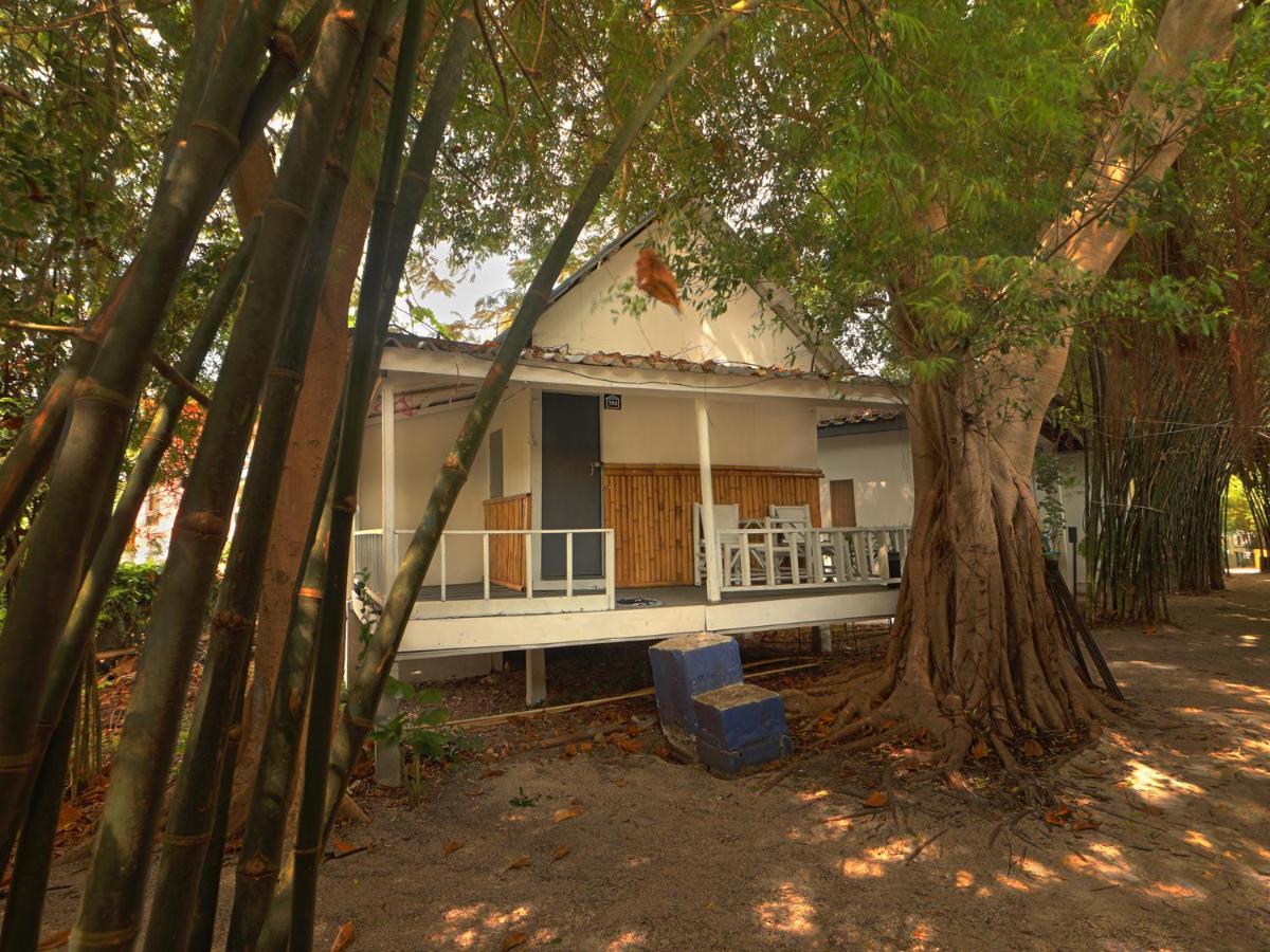 Asia Blue - Beach Hostel Hacienda Ko Pha Ngan Zewnętrze zdjęcie